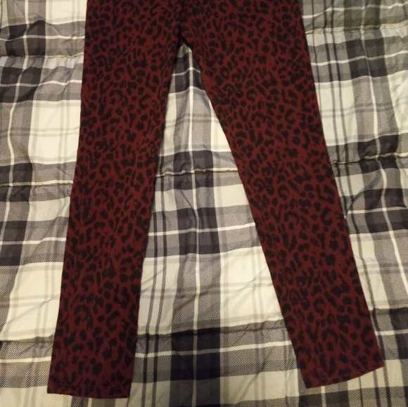 Sancturary - Picture 2 of 5